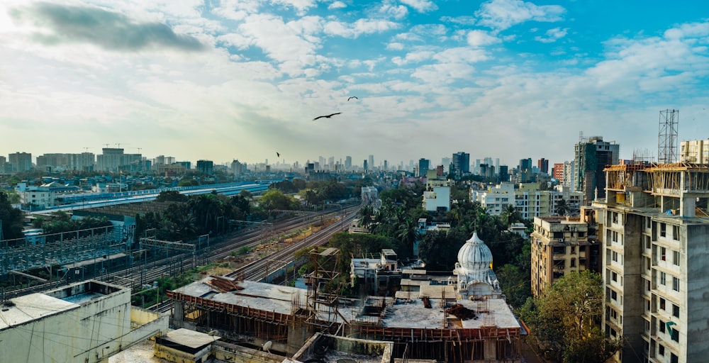 bird flying over city buildings during daytime