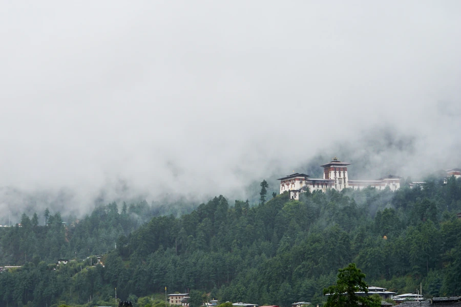 Bhutan Landscape Tall