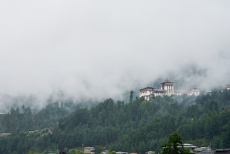 white and brown concrete building surrounded by green trees under white clouds during daytime