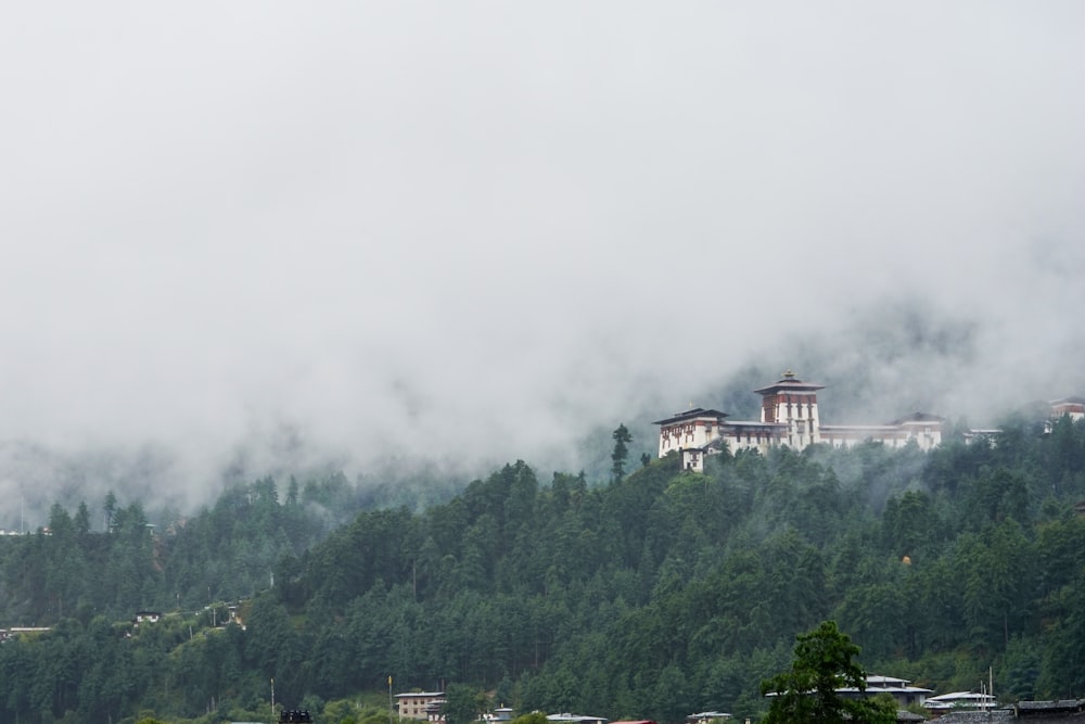 white and brown concrete building surrounded by green trees under white clouds during daytime