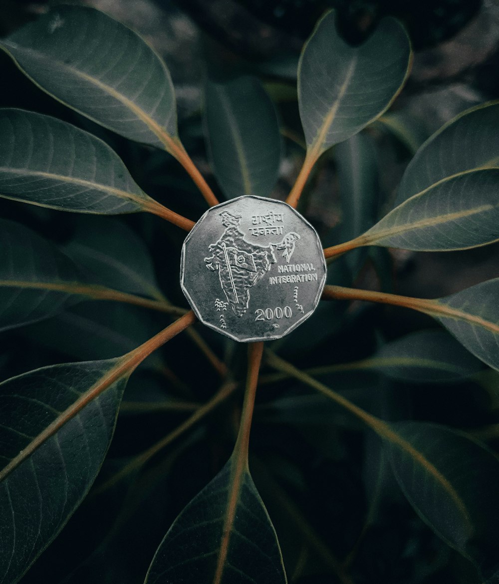 silver round coin on green plant