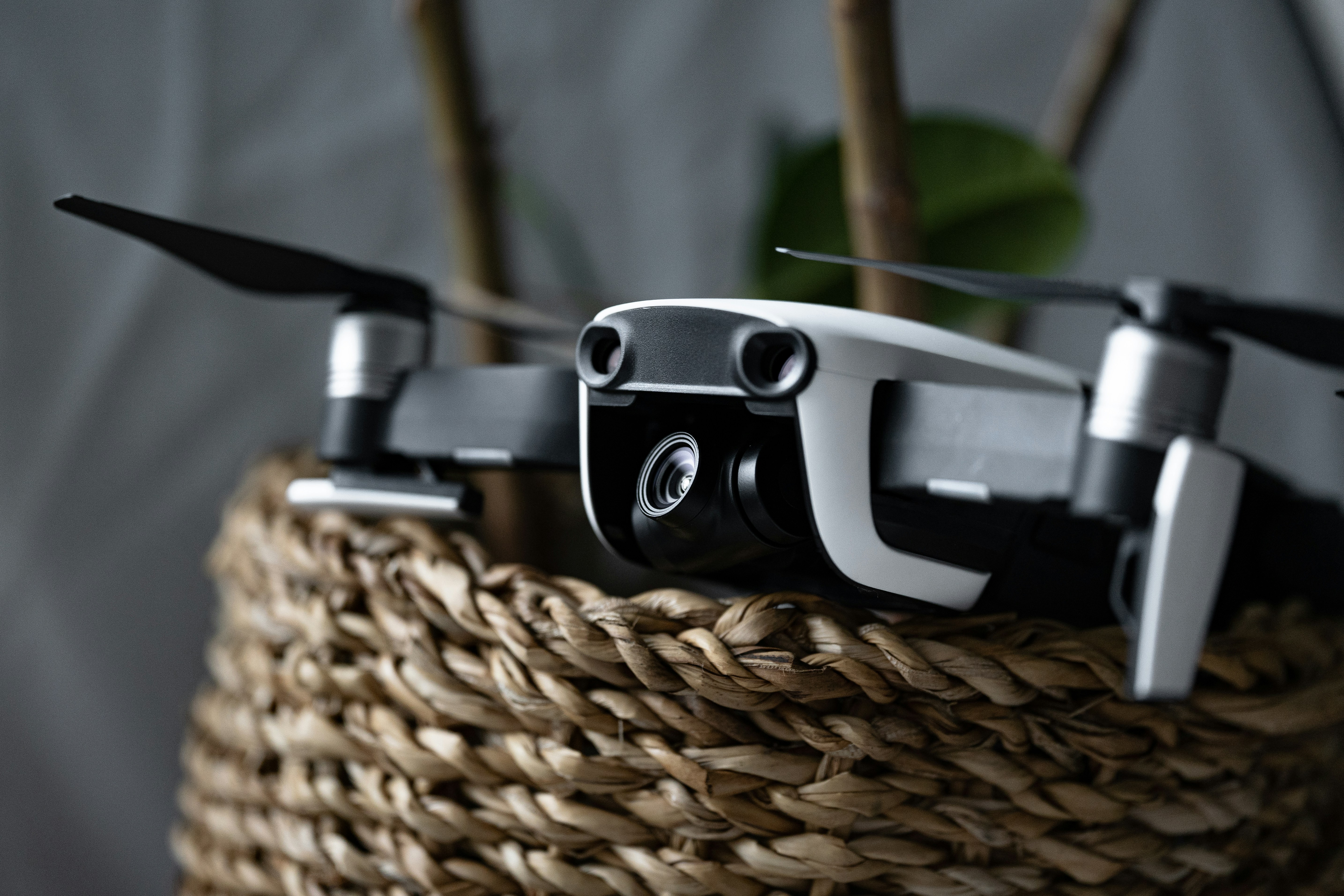 Photo by antonjphotos