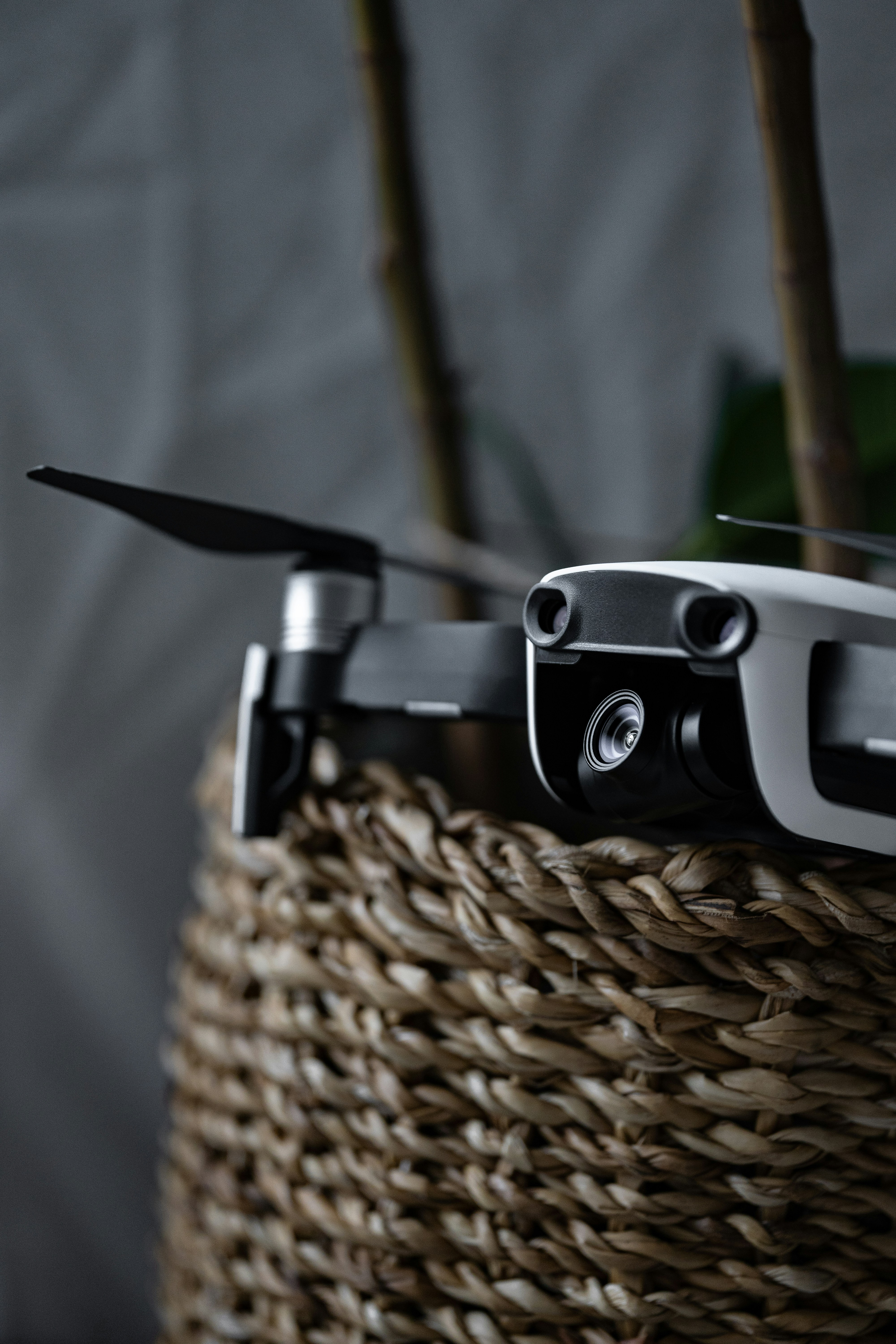 Photo by antonjphotos