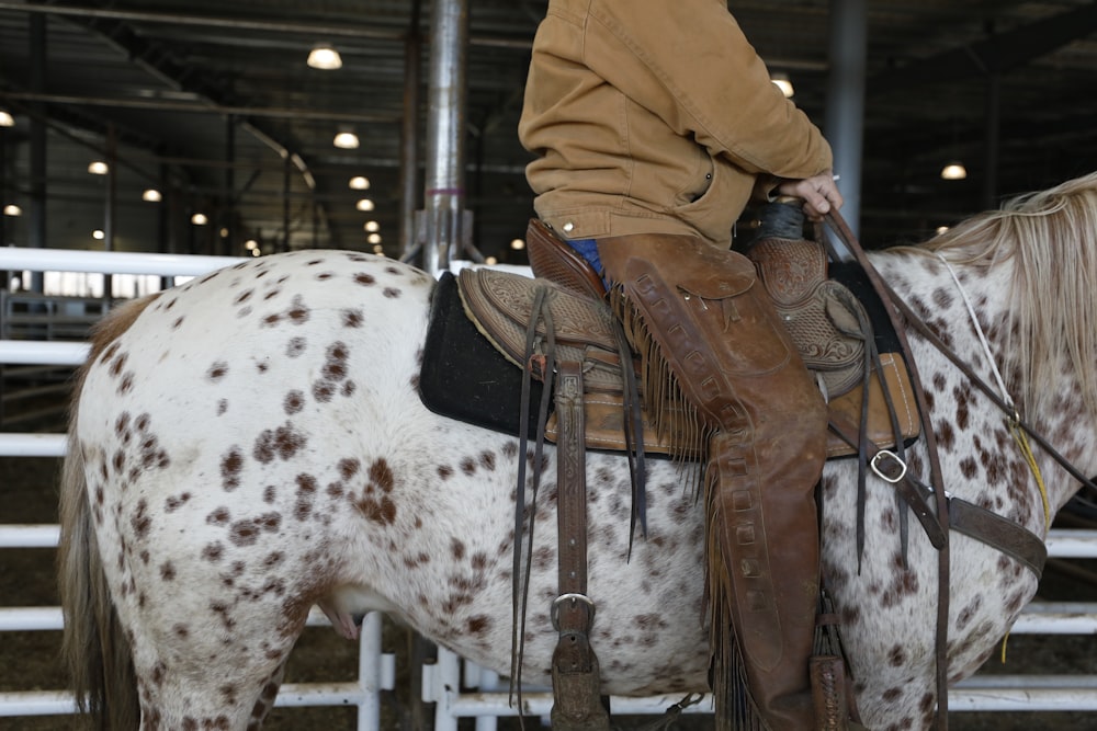 person in brown leather jacket and brown pants sitting on white and black cow