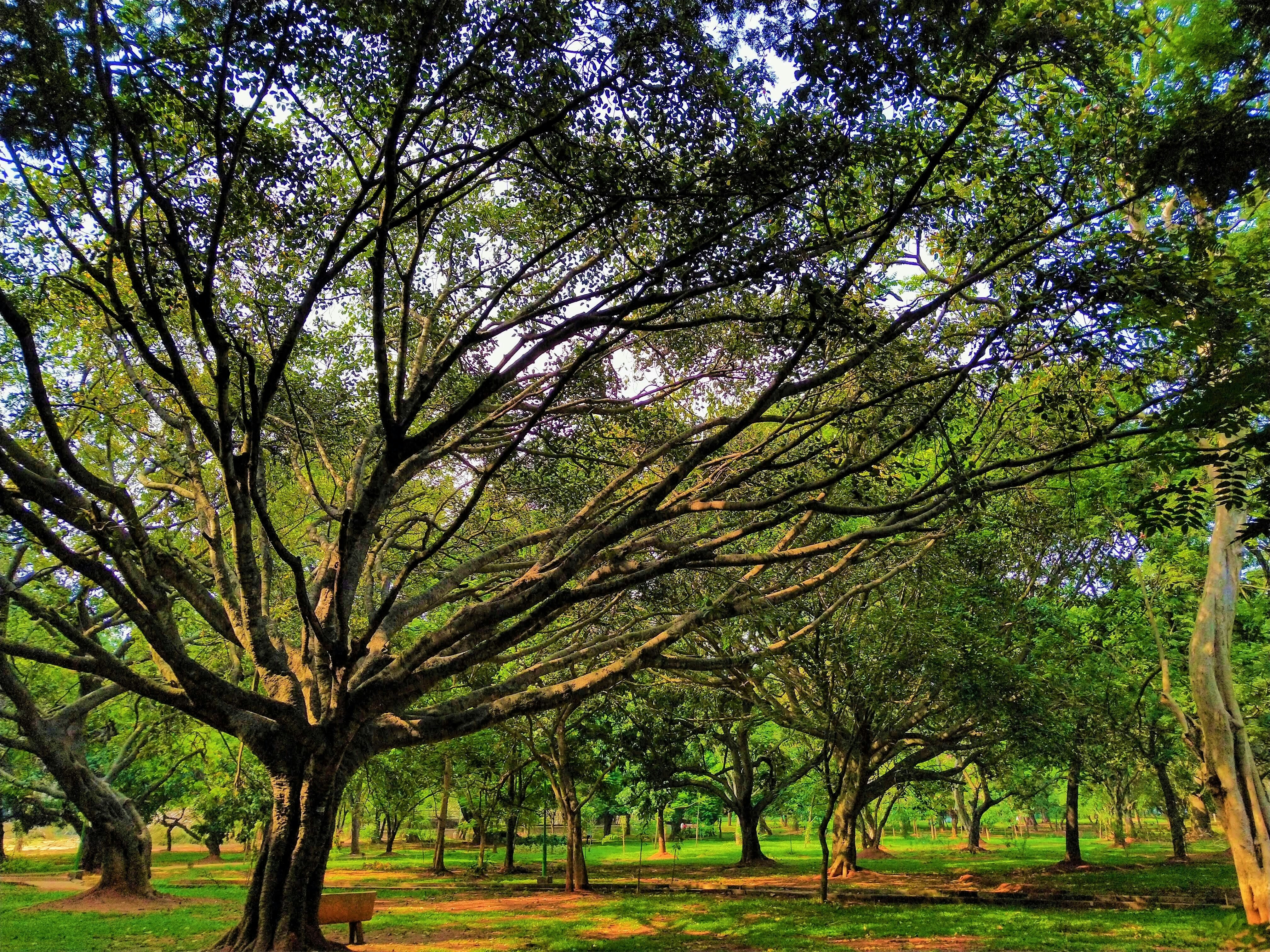 Photo by rahulpokale