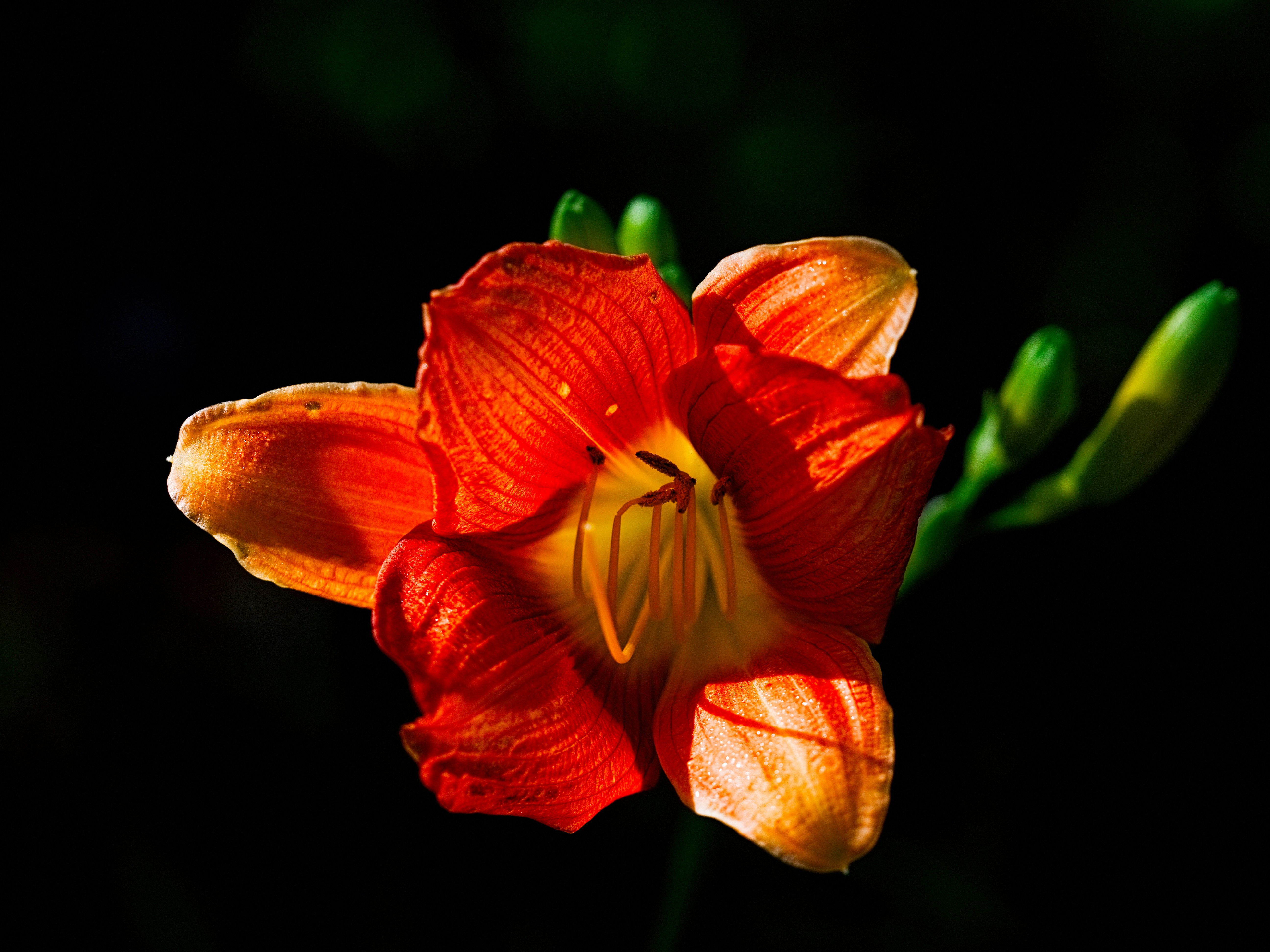 Photo by grievek1610begur