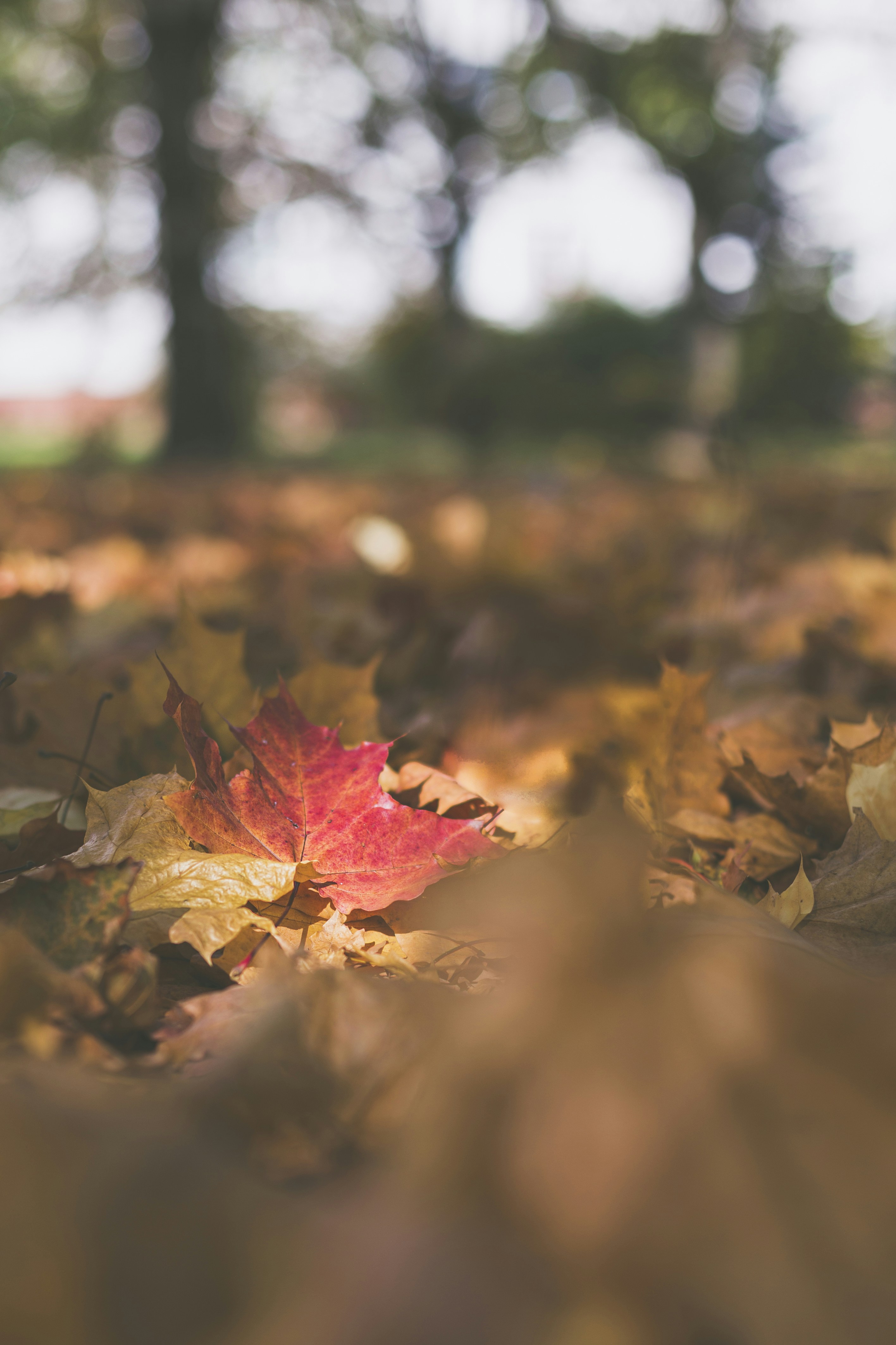 Photo by isaacquesada