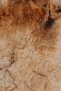 brown and black wooden surface