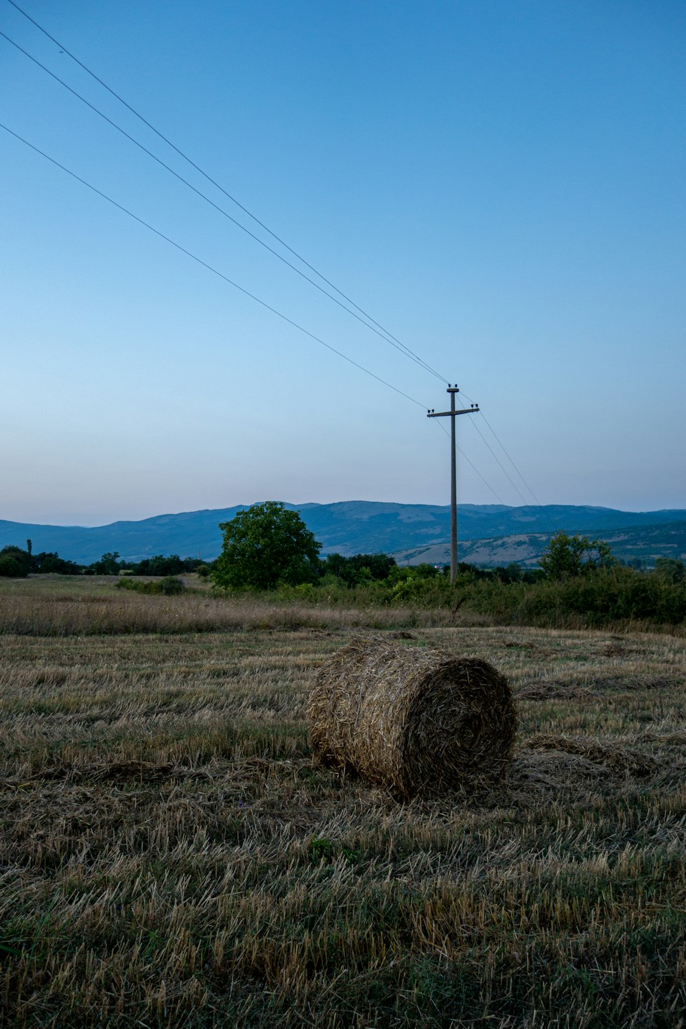 campo di erba marrone sotto il cielo blu durante il giorno