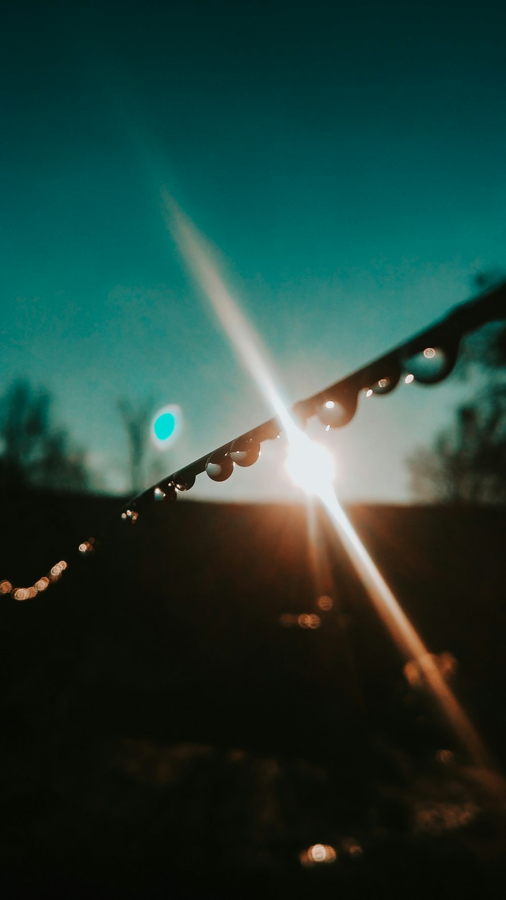 water droplets on black string lights during night time