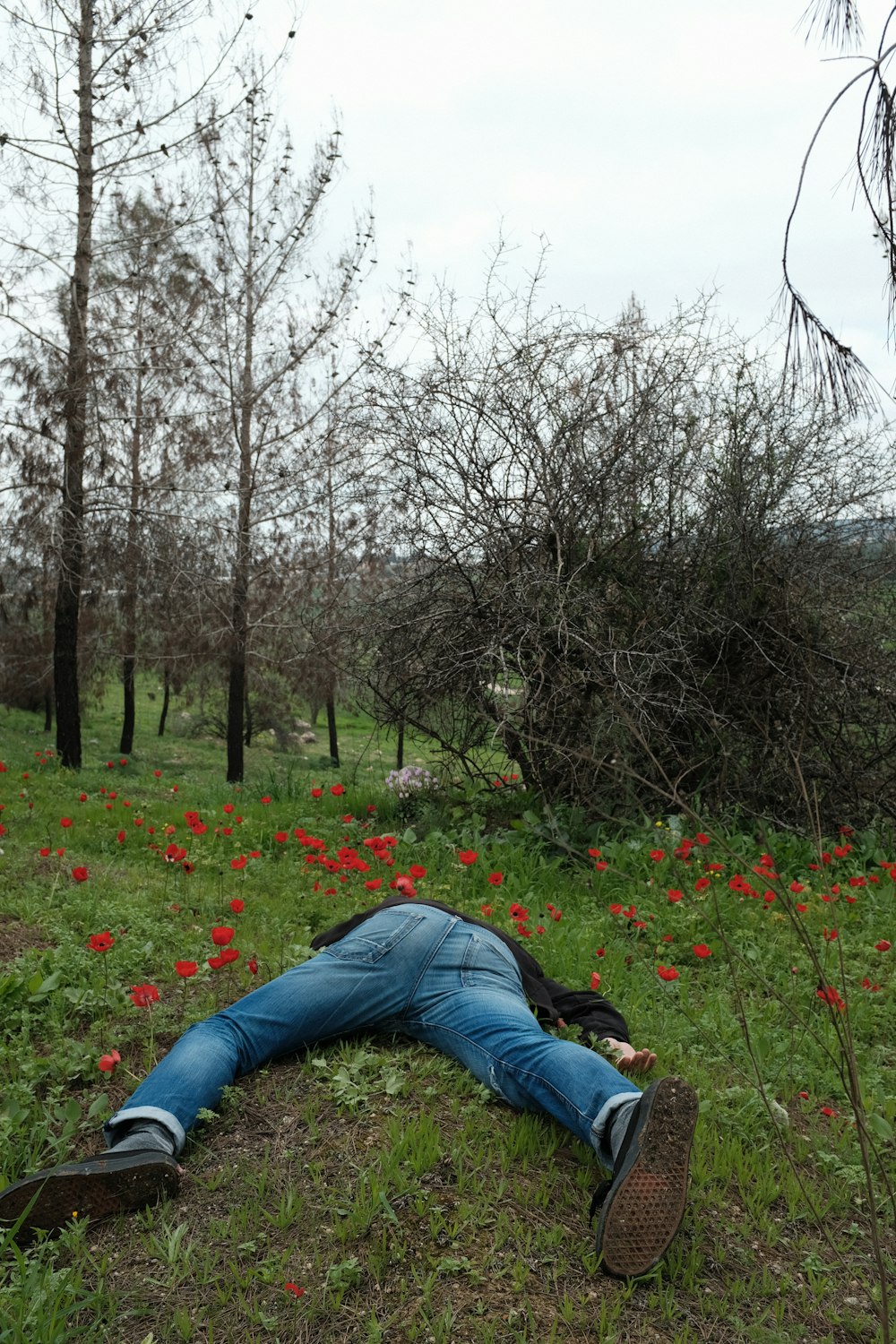 man in blue denim jeans lying on green grass field