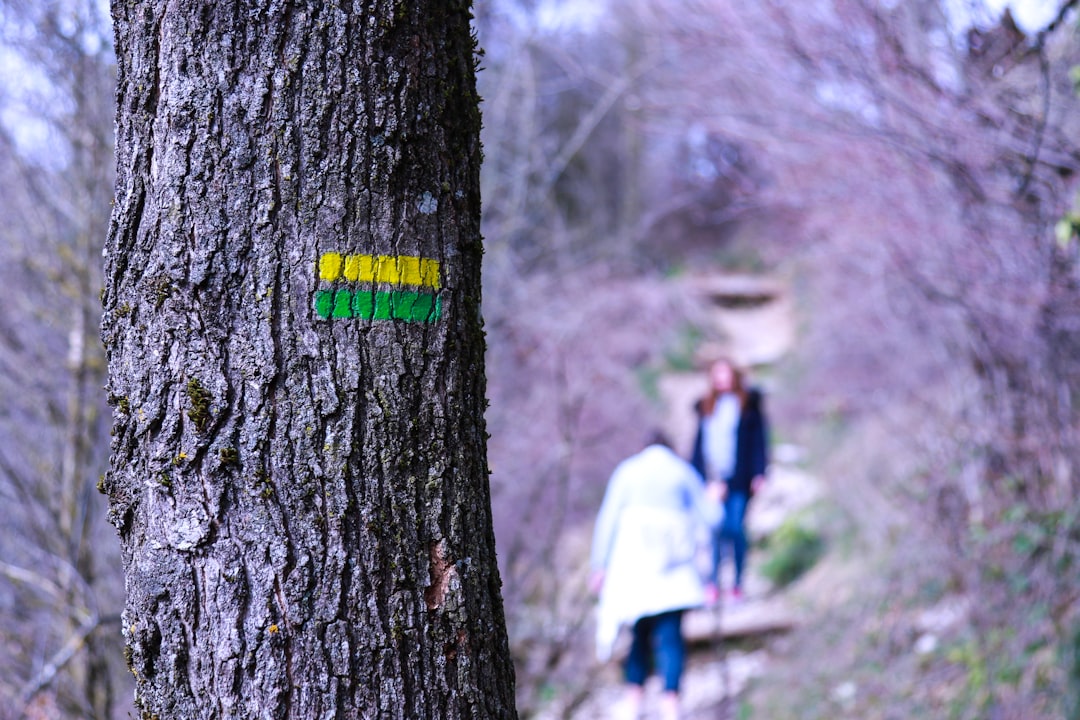 Forest photo spot Ansage Saint-Égrève