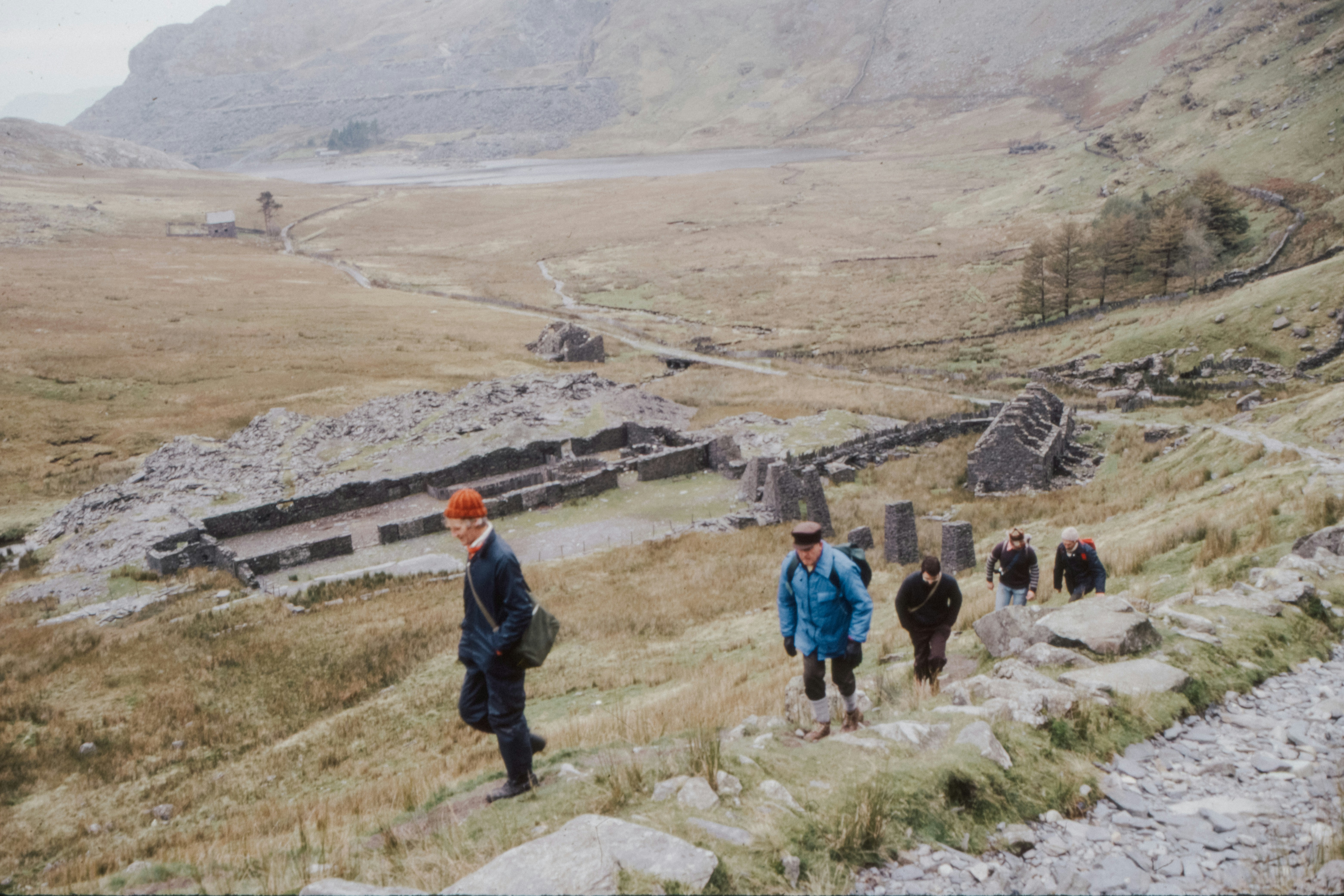 people walking on brown field during daytime