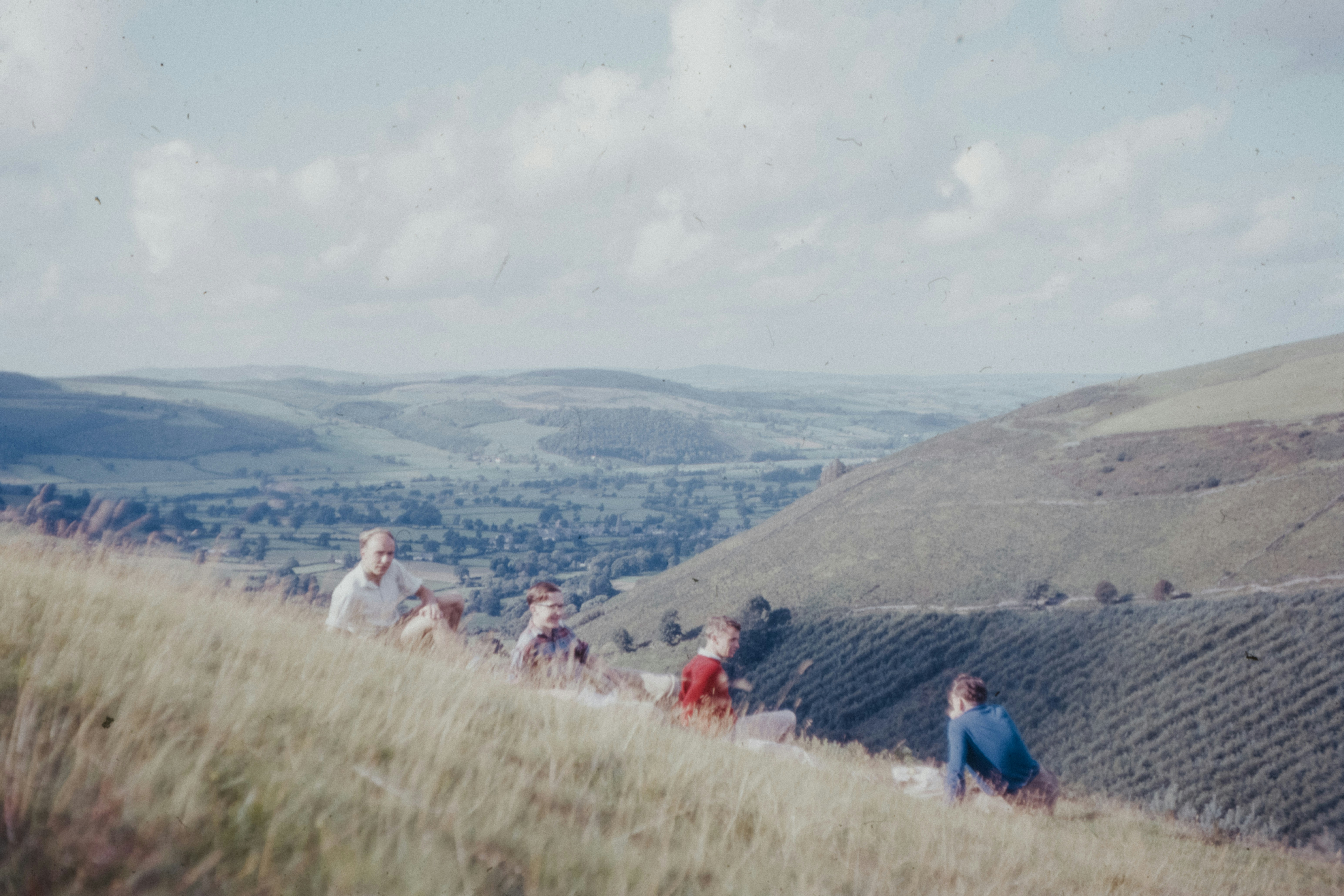 people on green grass field during daytime