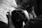 A person is gently holding the head of a black dog, focusing on the dog's face. The hands are positioned on either side of the dog's face, offering a sense of comfort and affection. The image is in black and white, creating a contrast that highlights the dog's expression and the texture of the person's skin.