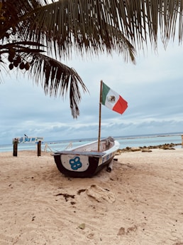 blue and white boat on beach during daytime