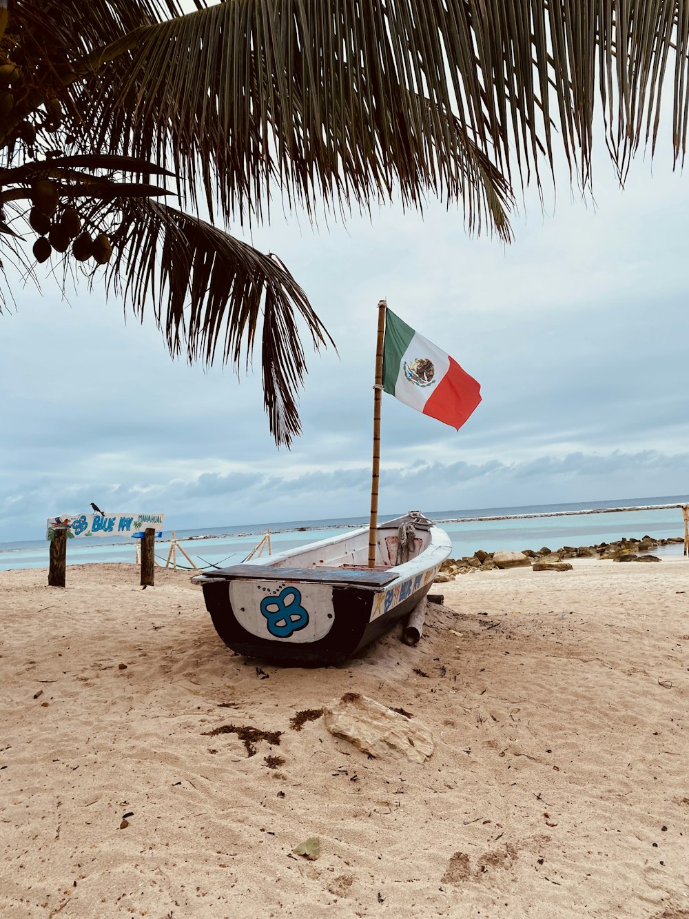 blue and white boat on beach during daytime