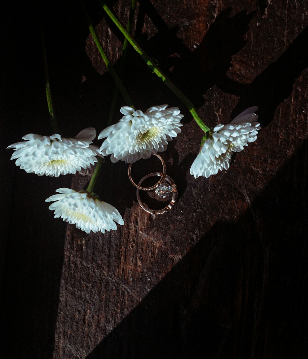 茶色の木の表面に白い花
