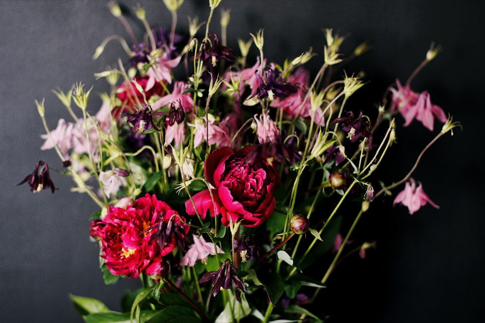 pink and white flowers in tilt shift lens