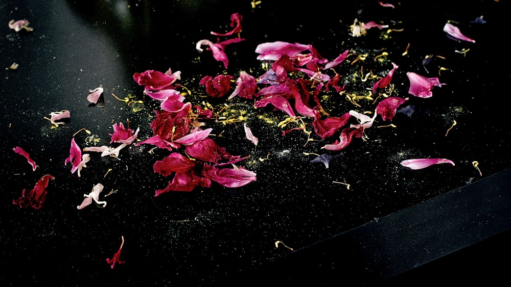 pink and white flower petals on black surface