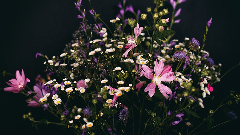 purple and white flowers in tilt shift lens