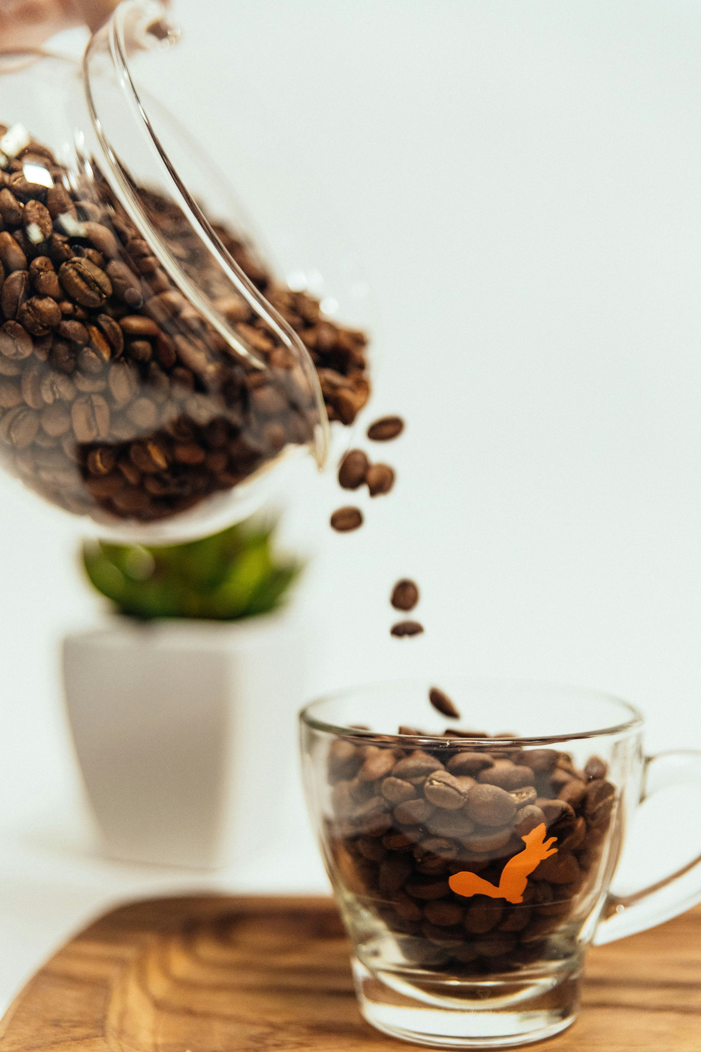 Photo by pedrotheartist