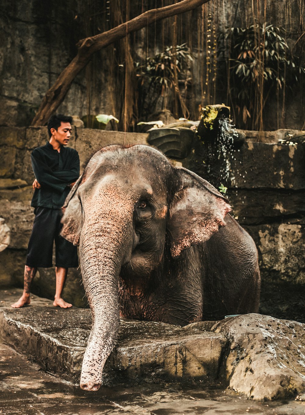 woman in black jacket standing beside elephant during daytime