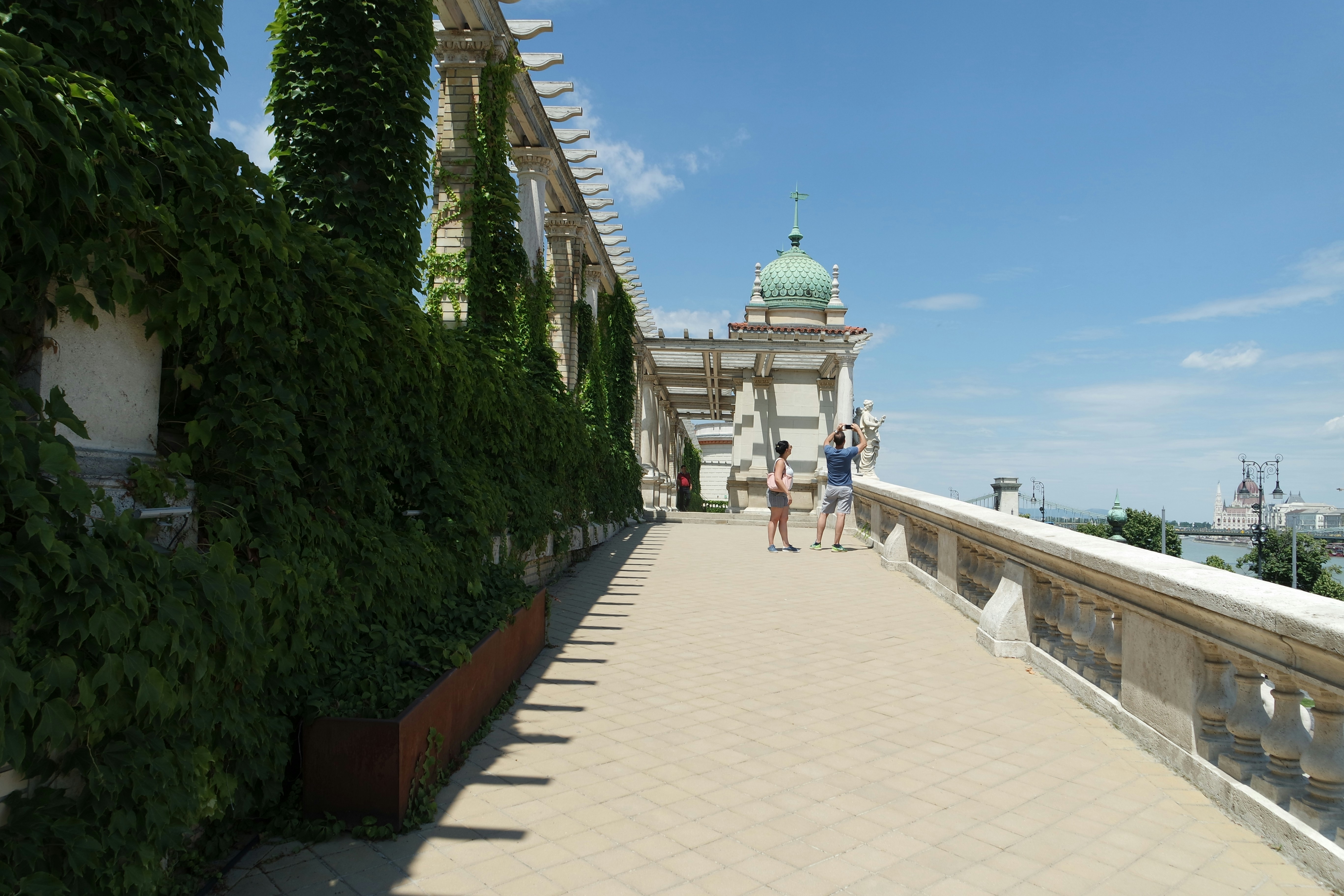 people walking on pathway near green trees during daytime