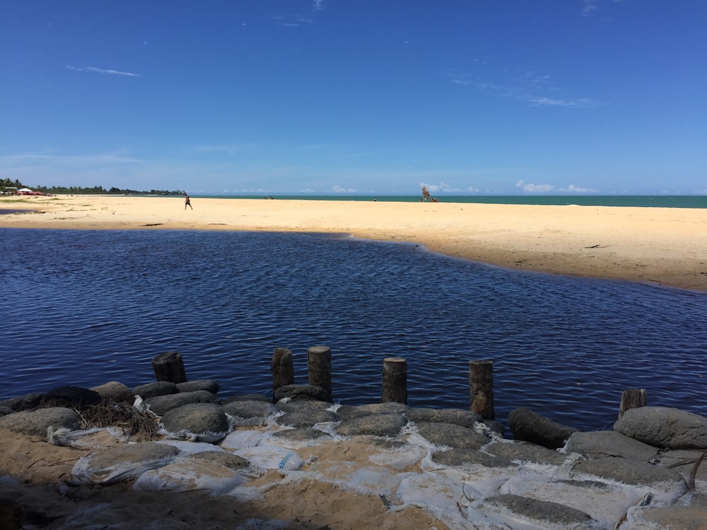 brown sand near body of water during daytime