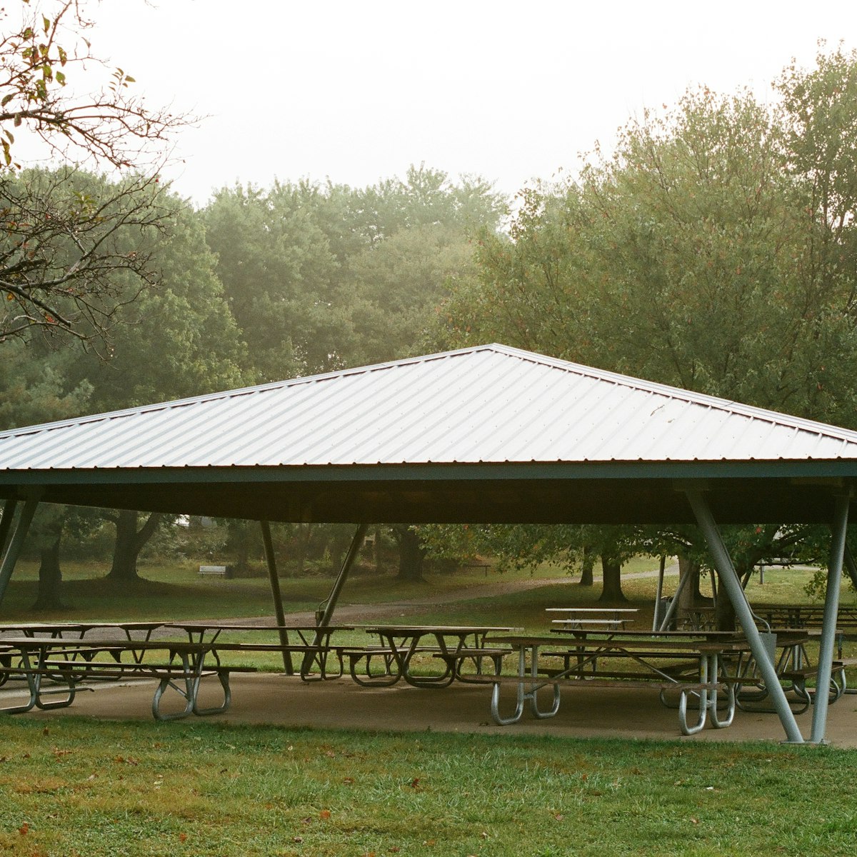 The Wingfield Park pavilion roofline, straight on.