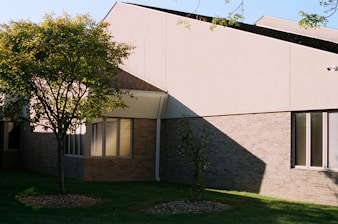 green tree beside white concrete building