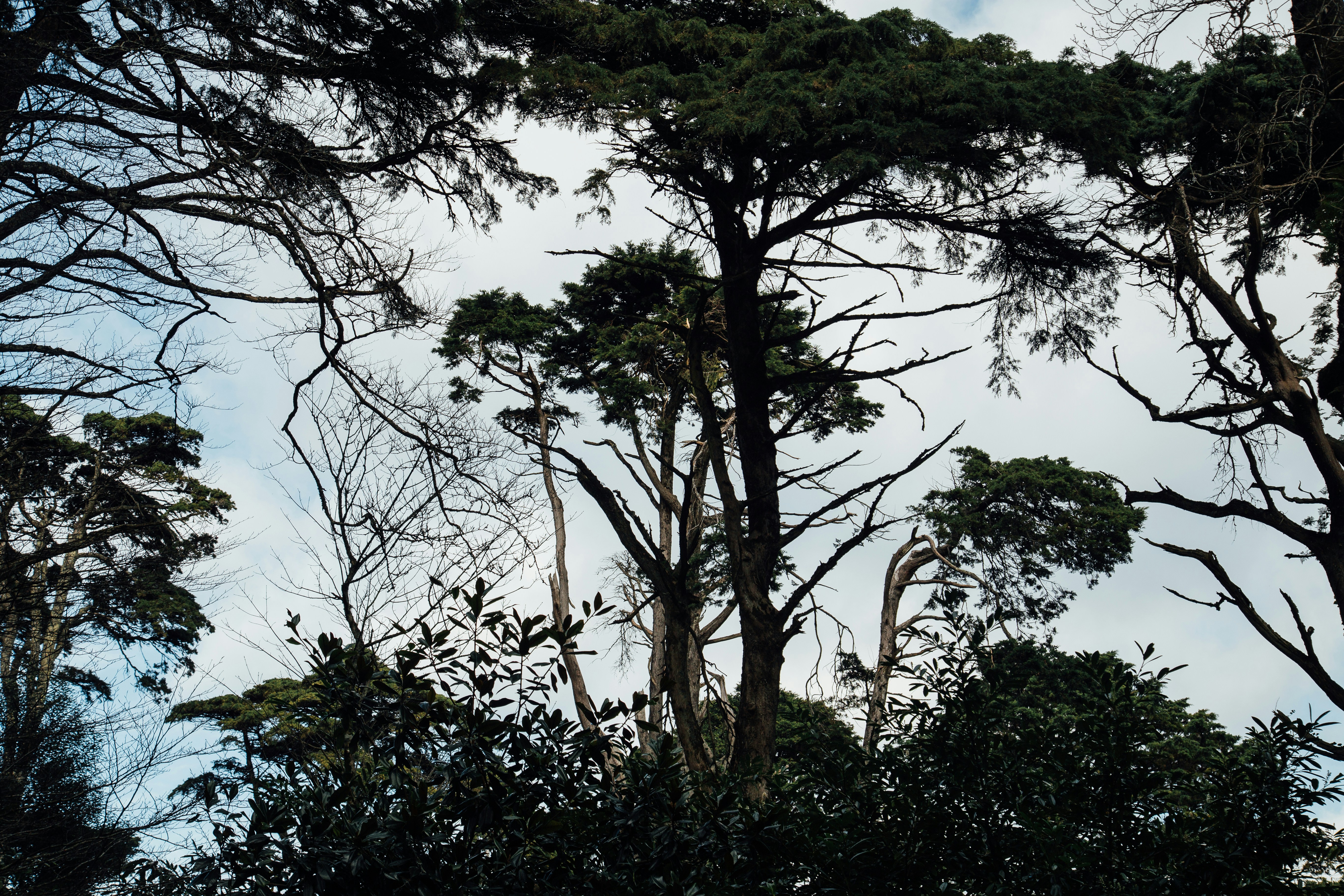 Photo by planetearth