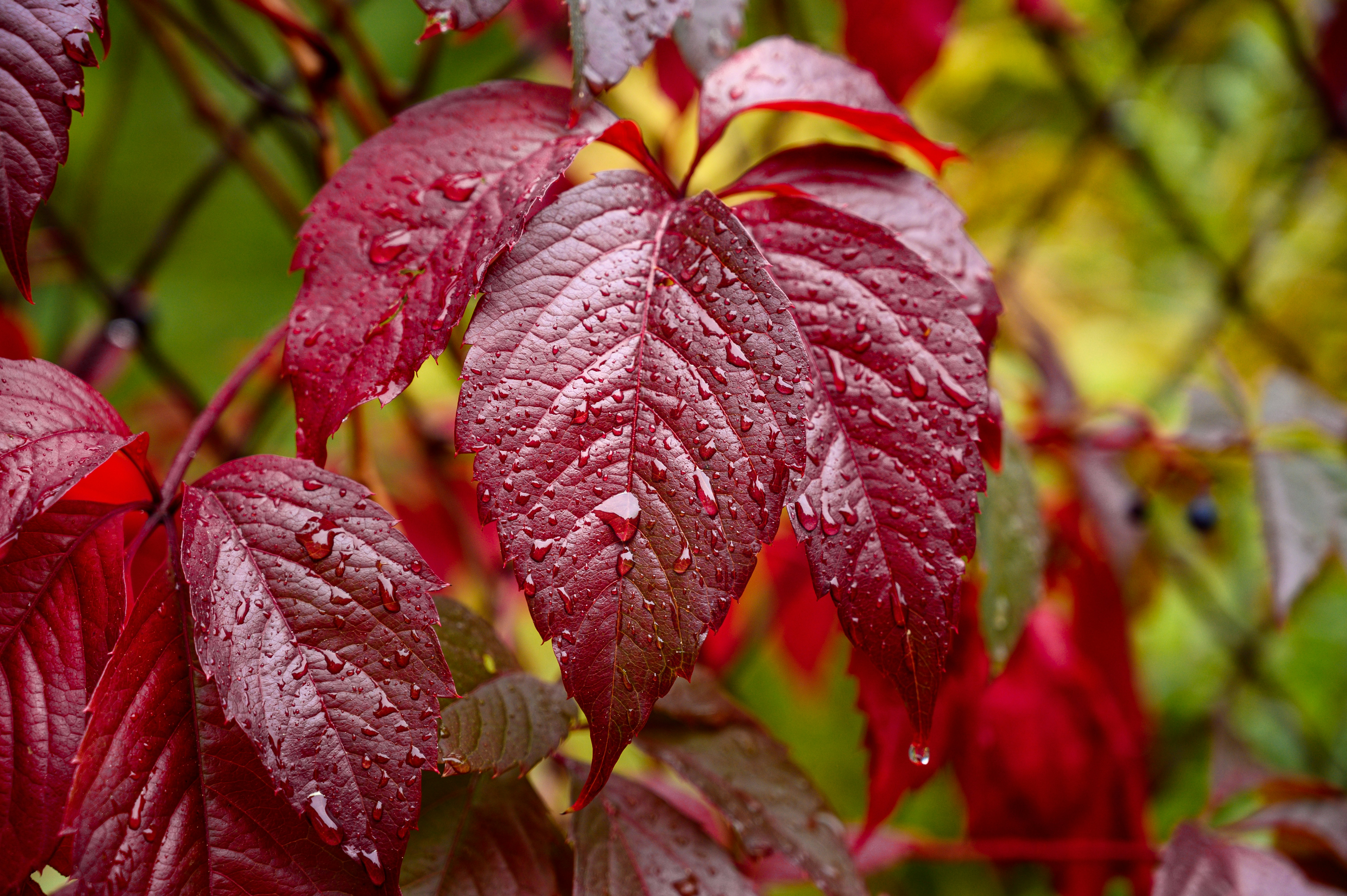 Photo by andreasbrun