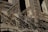 Intricate wrought iron railings cast complex, swirling shadows on the façade of an old stone building. The architecture features detailed craftsmanship with ornamental designs that extend from the balcony.