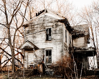 white and black wooden house near bare trees during daytime