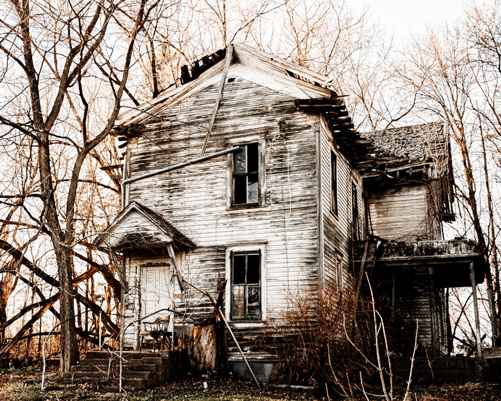 white and black wooden house near bare trees during daytime