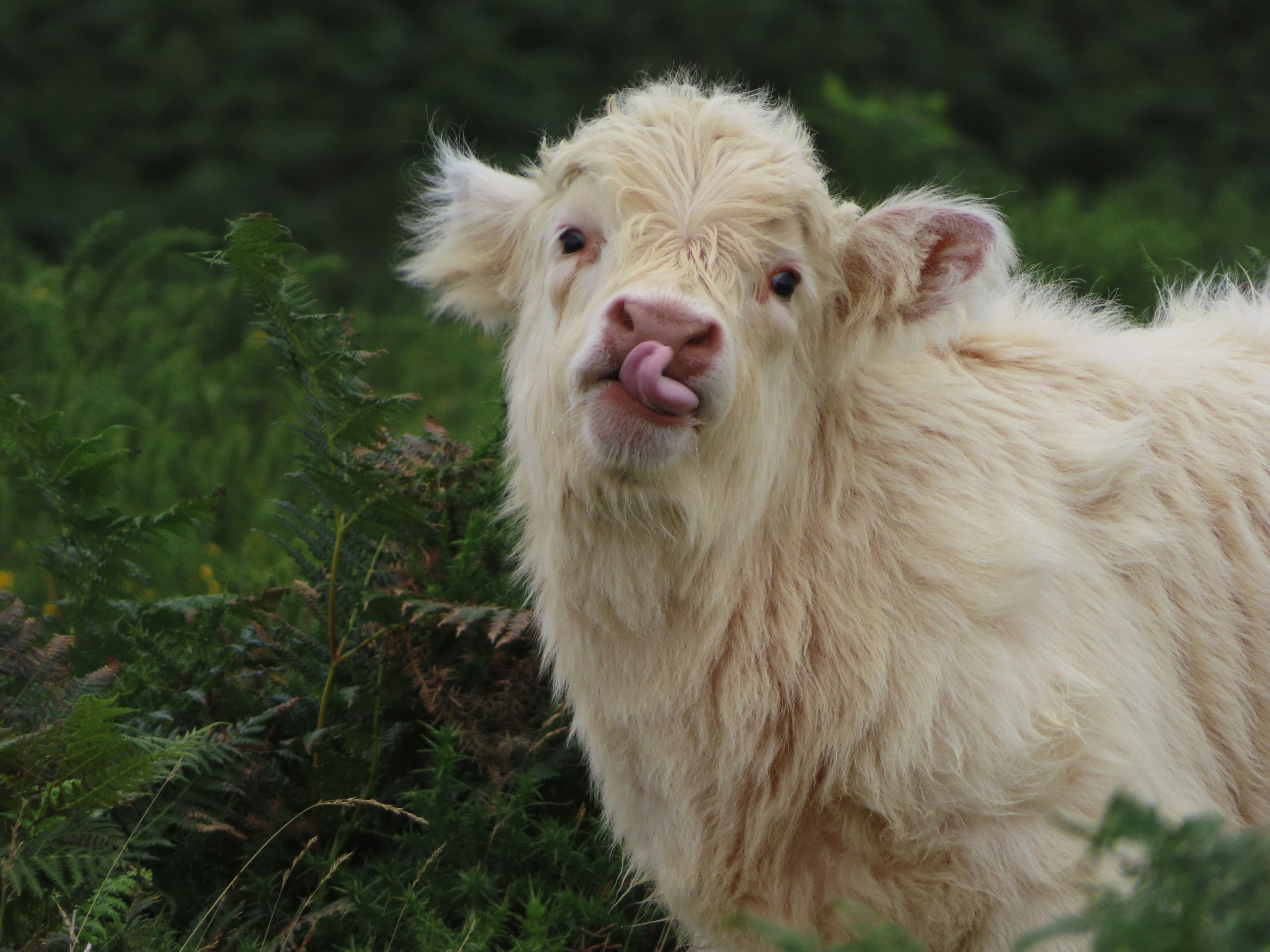 Photo by thom_reijnders