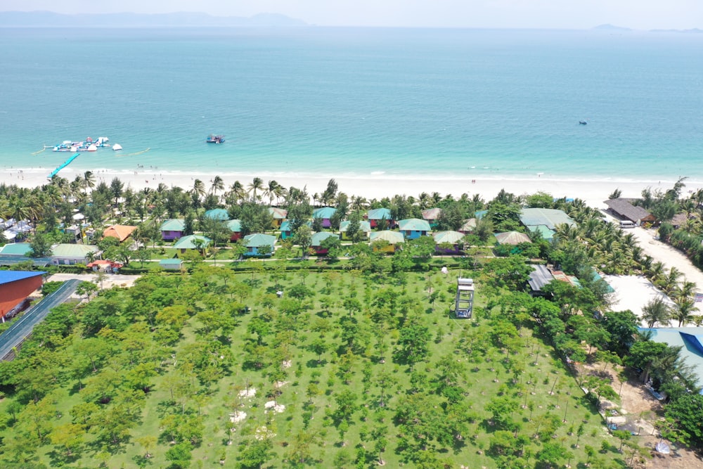 aerial view of green trees and people on beach during daytime