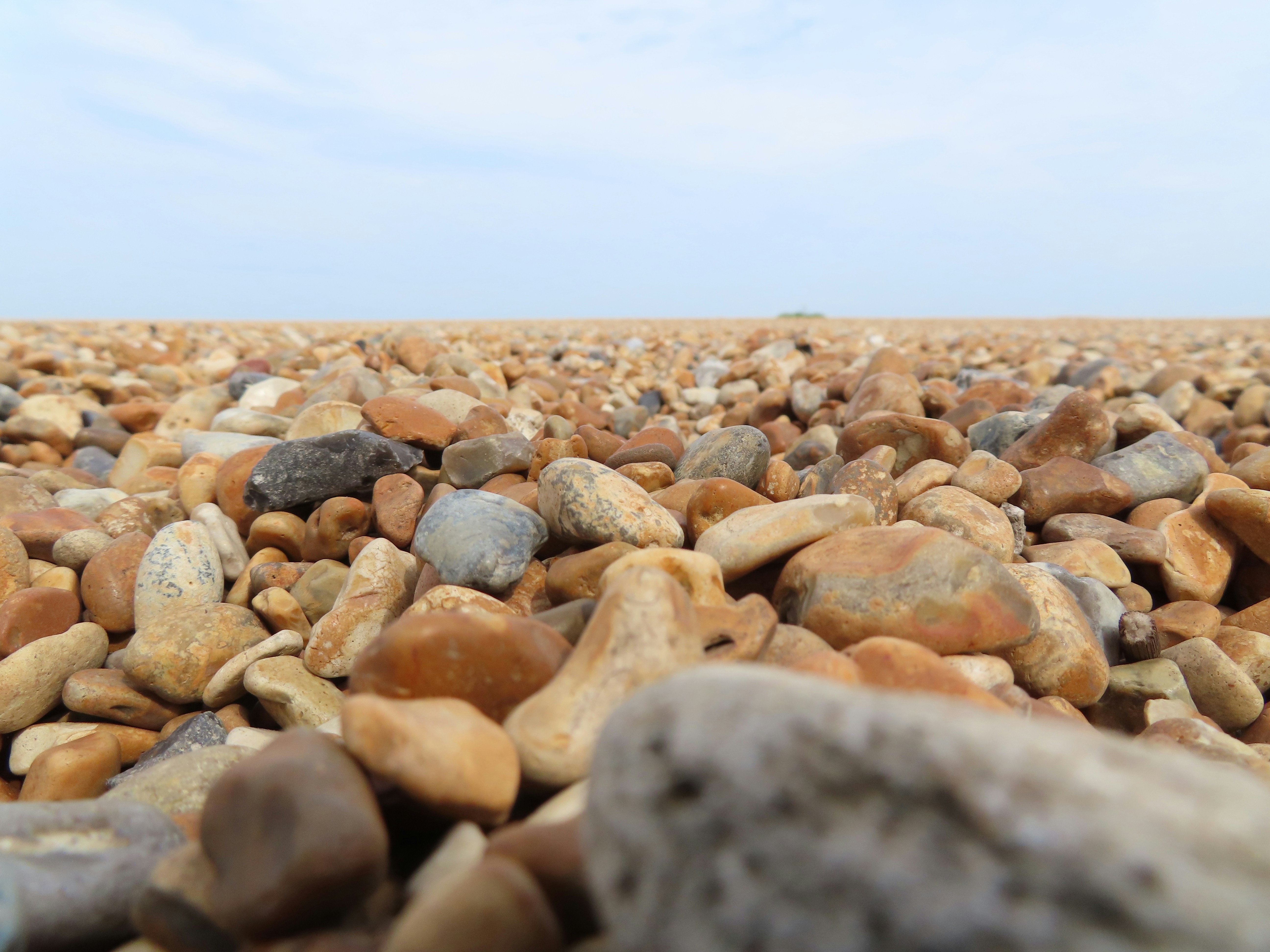 Photo by thom_reijnders