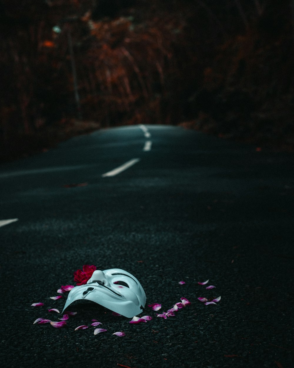 white and pink air jordan shoes on black asphalt road