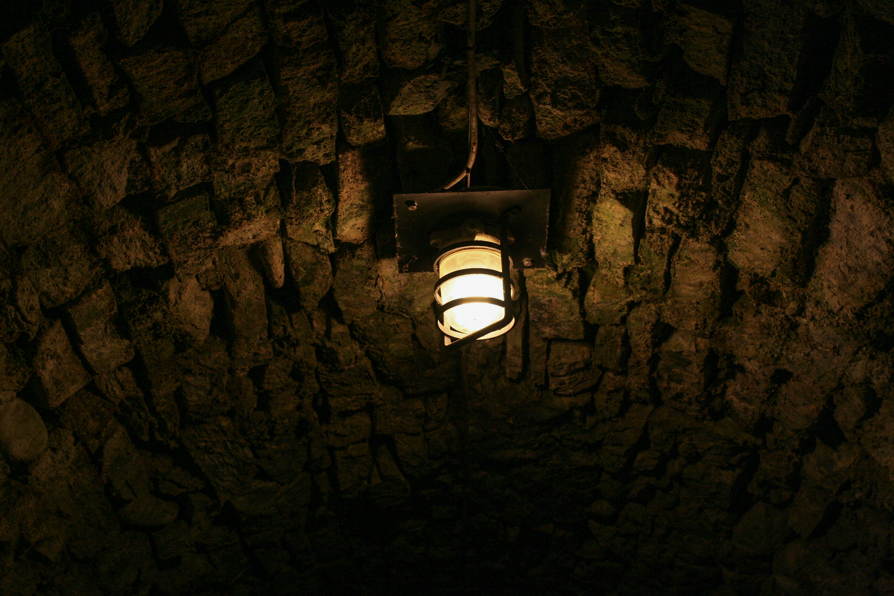 Photo by 100millione