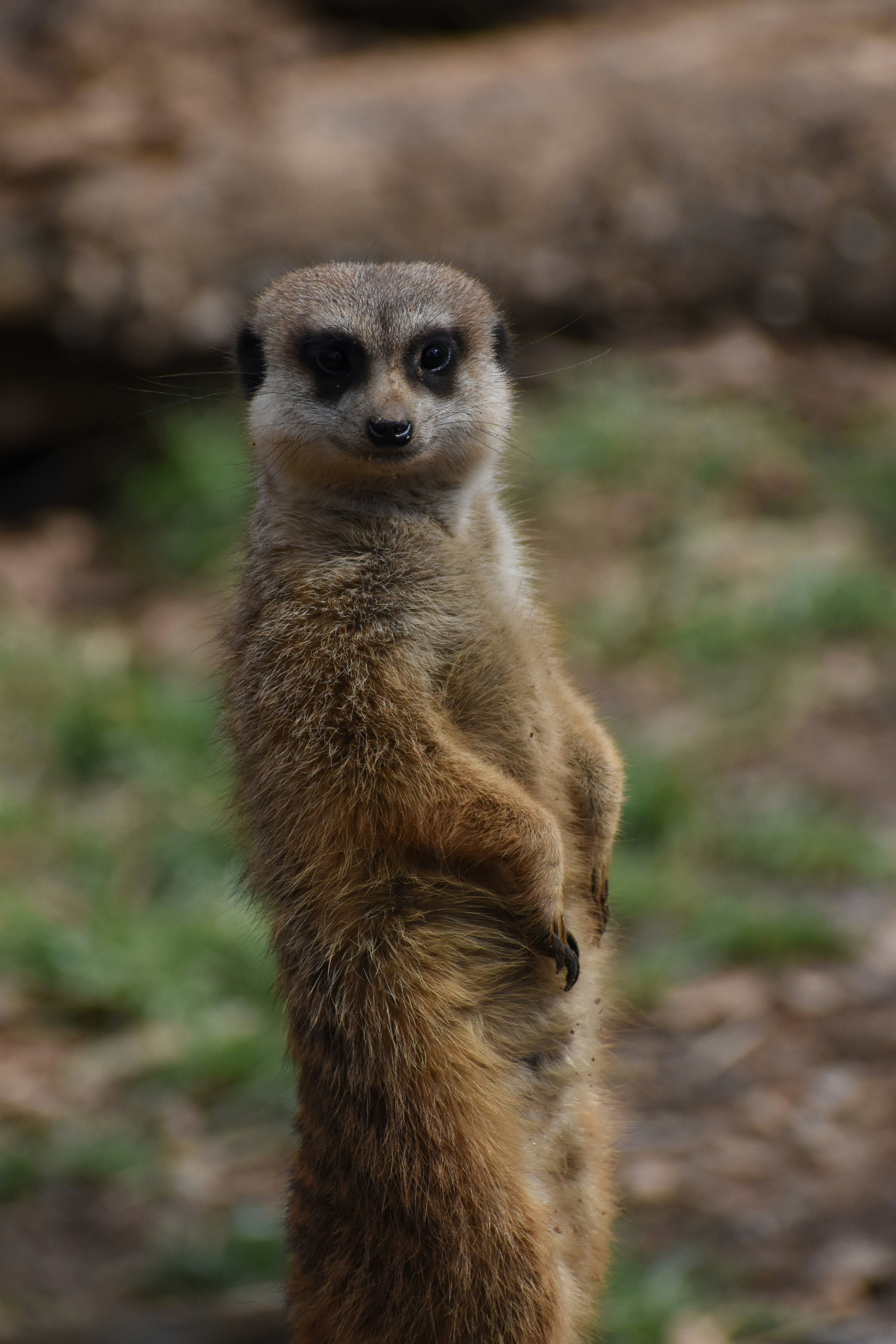 Photo by hdjohnson96