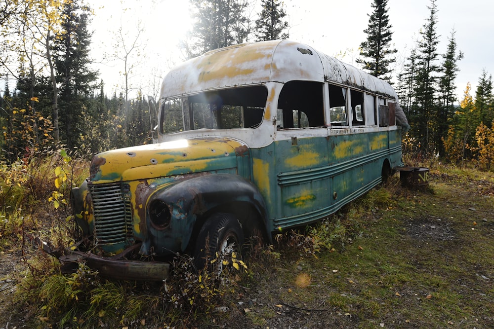 yellow and blue bus on green grass field during daytime