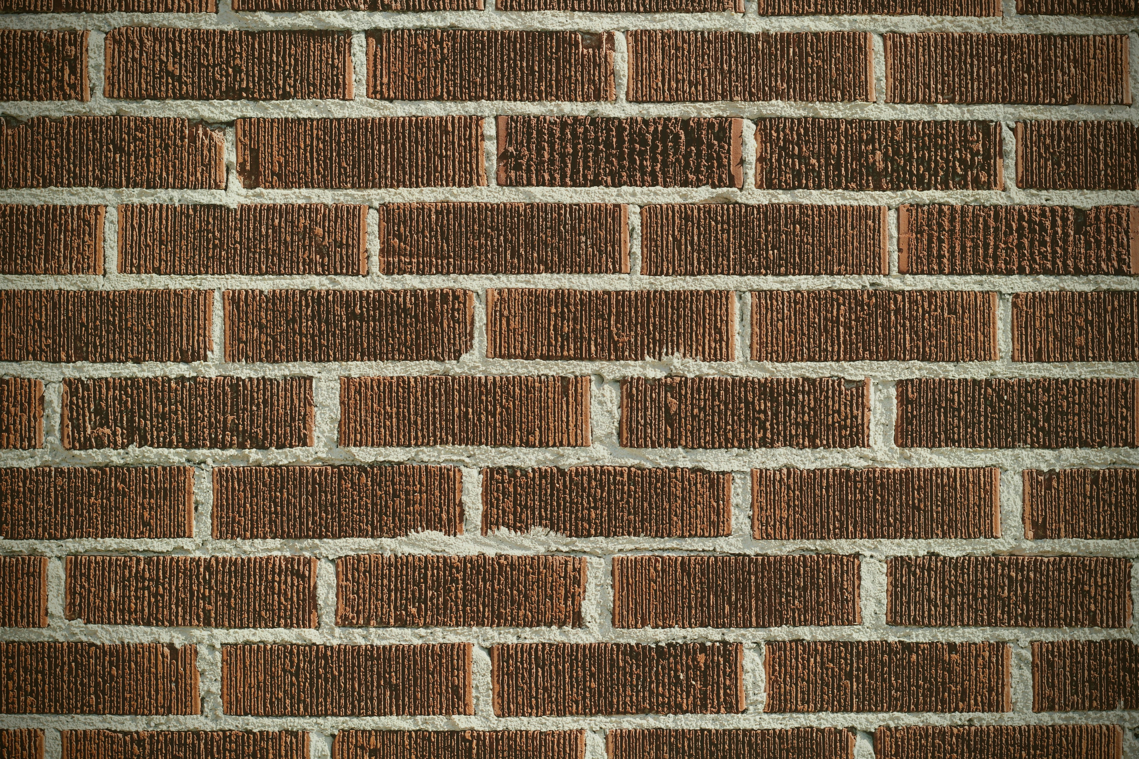 Photo by joshua_hoehne