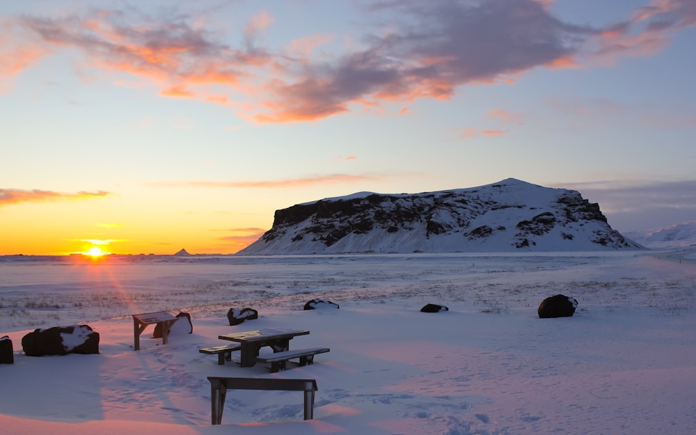 brown wooden bench on seashore during sunset