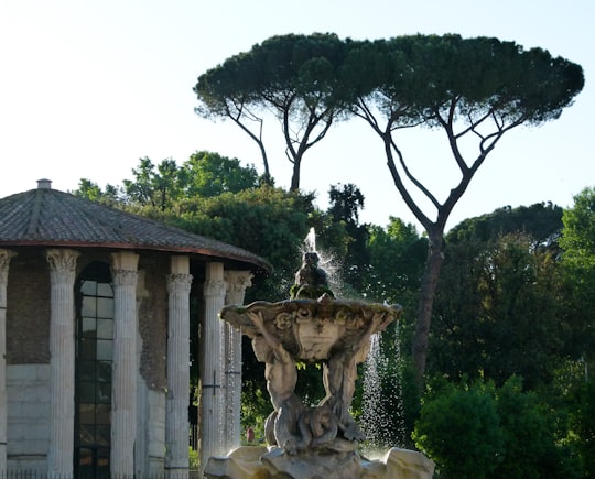 brown concrete fountain near green trees during daytime in Temple of Hercules Victor Italy