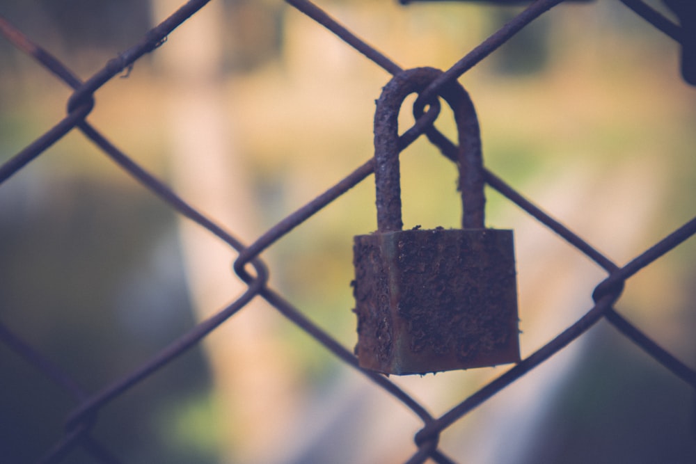 brown padlock on gray metal fence