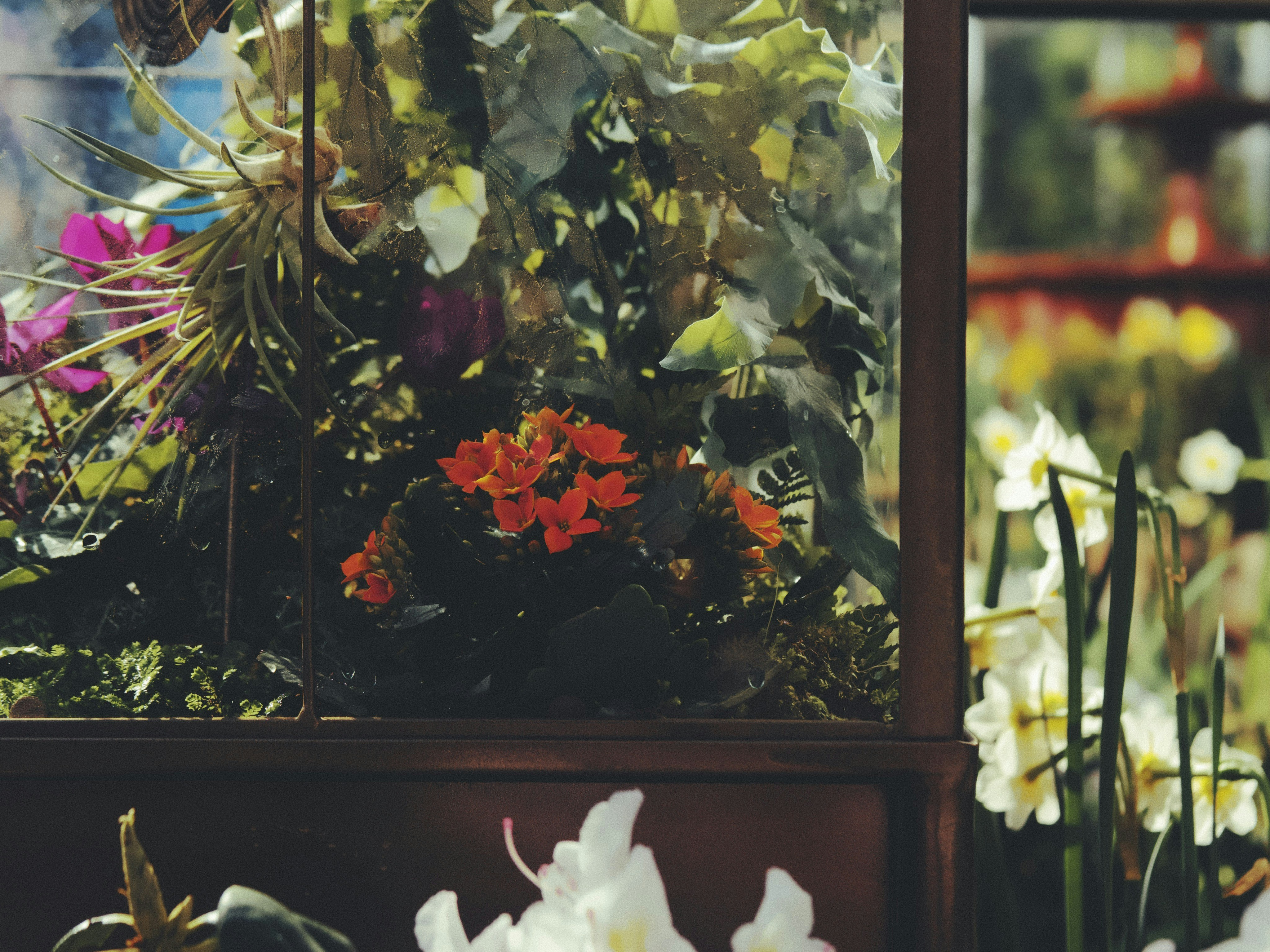 The Recommendation Engine's Hidden Curriculum