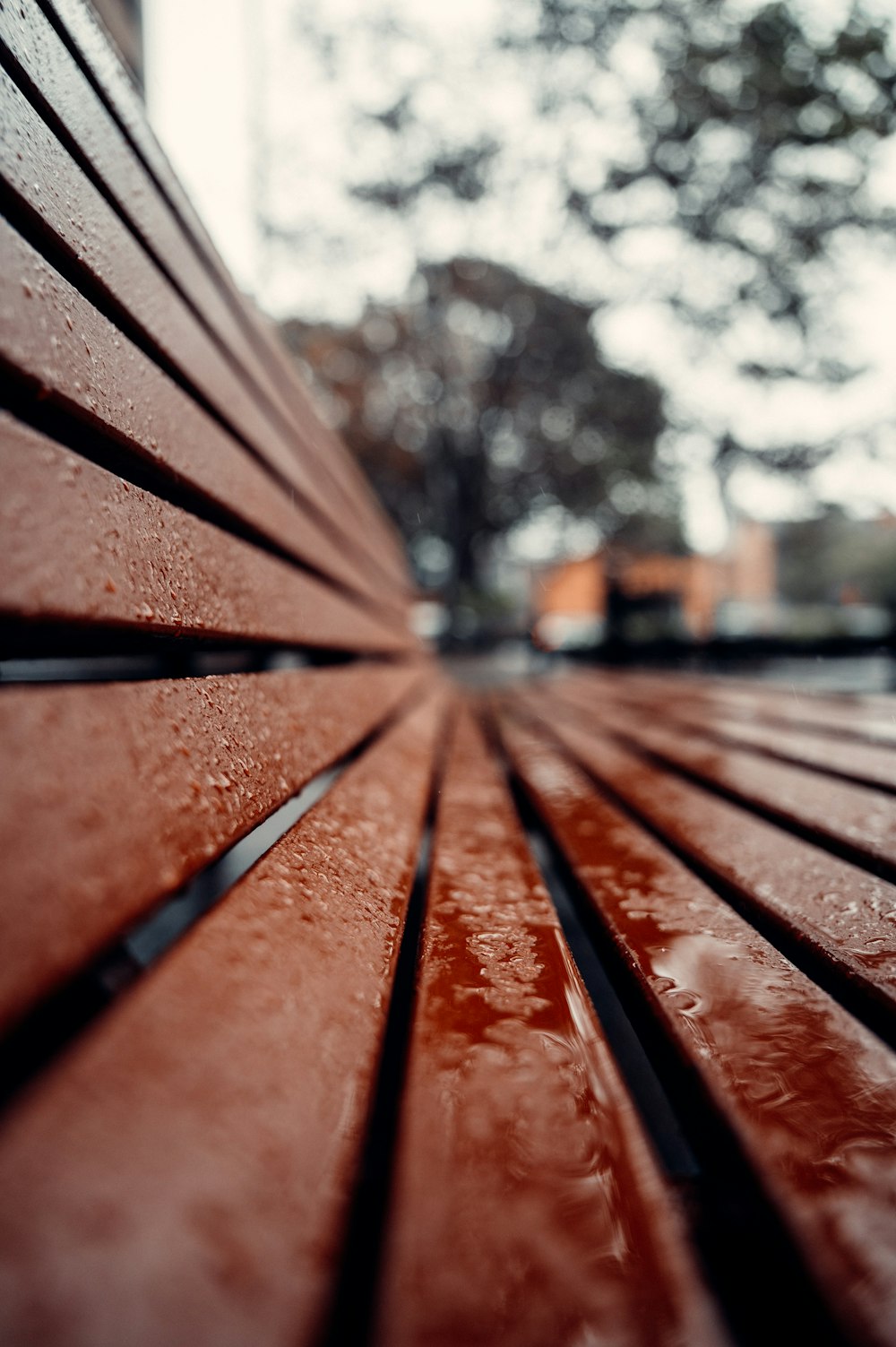 brown wooden bench near trees during daytime