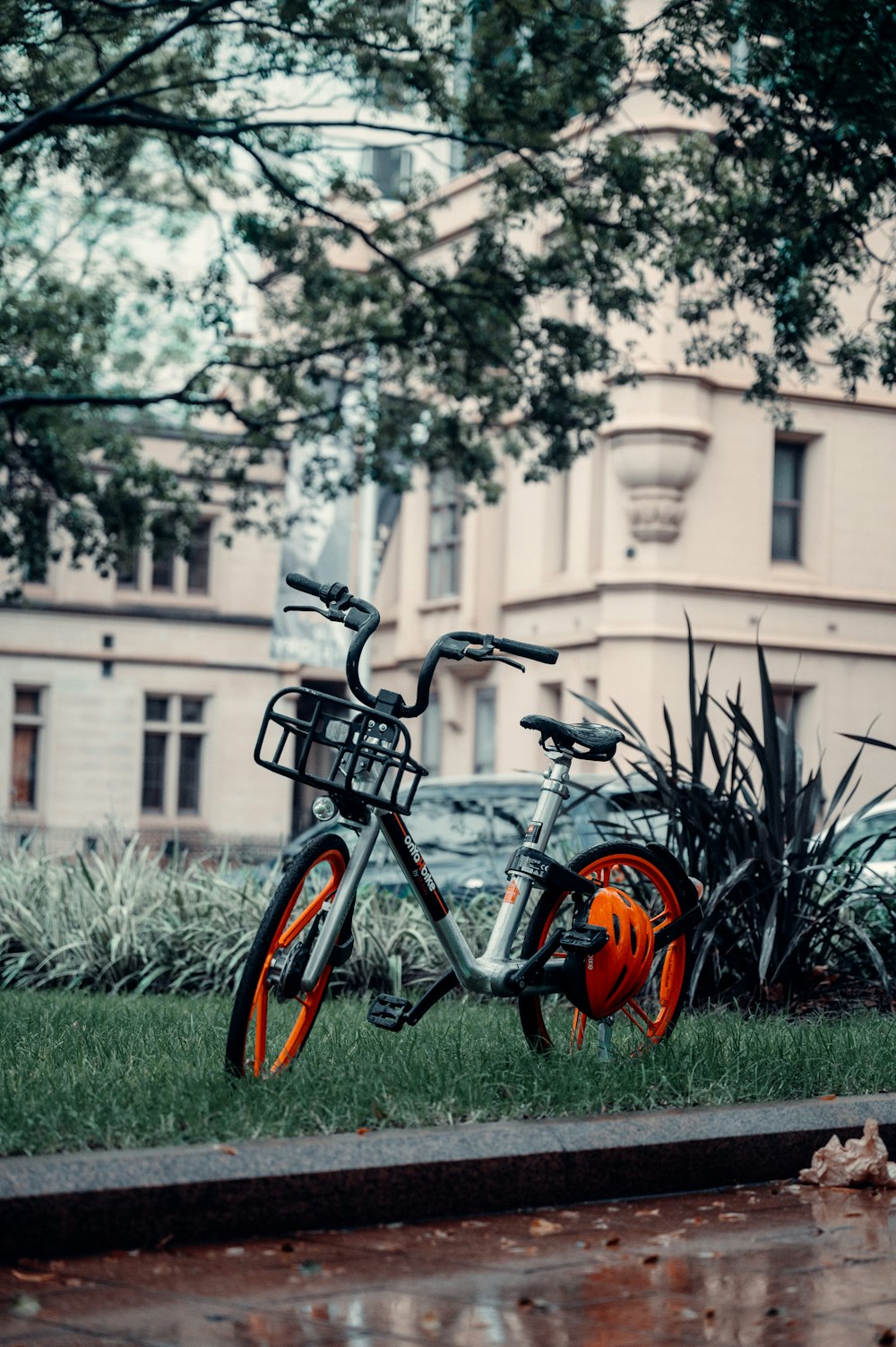 black and orange bicycle on green grass field during daytime